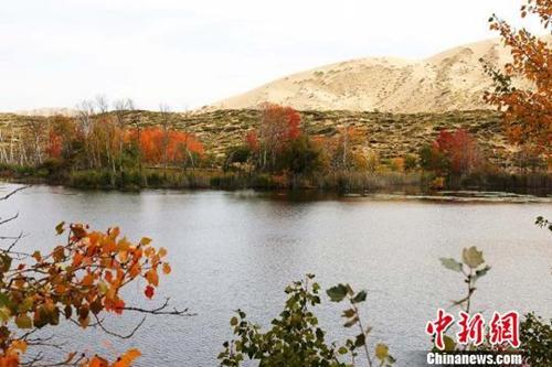 中國(guó)僑網(wǎng)資料圖:紅葉美景?!顤|東 攝
