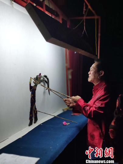 中國(guó)僑網(wǎng)秦禮剛演繹皮影戲 張哲 攝