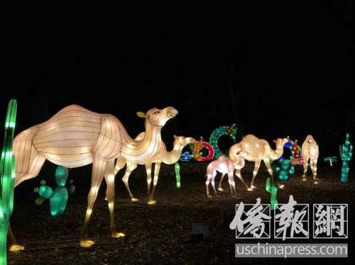 中國僑網(wǎng)孩子們在中國彩燈節(jié)上與舞獅互動,。(美國《僑報》/翁羽 攝)