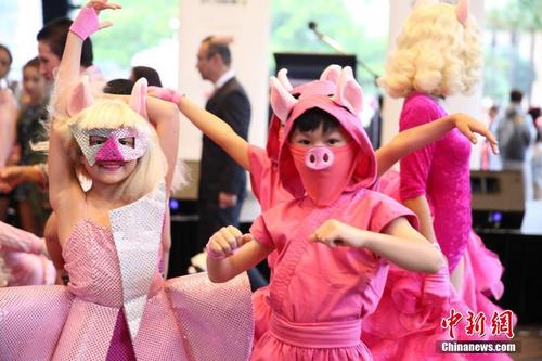 中國僑網(wǎng)2月1日傍晚,,悉尼農(nóng)歷節(jié)(Sydney Lunar Festival)拉開帷幕,。圖為扮成可愛小豬的小朋友載歌載舞,,向市民,、游客恭賀豬年的到來,。中新社記者 陶社蘭 攝
