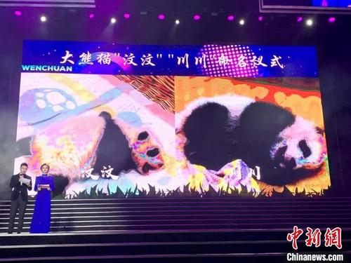 中國僑網(wǎng)命名儀式現(xiàn)場?!$娦馈z