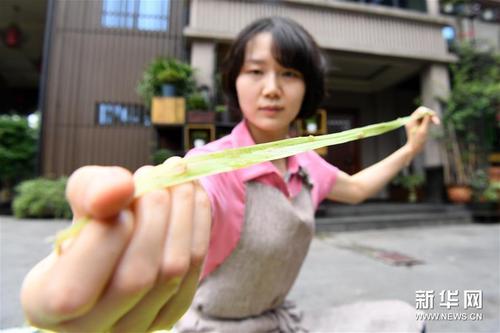 中國僑網(wǎng)6月12日,,在重慶榮昌的天運夏布會館,,非遺傳承人馬琳沁在對夏布原料苧麻進行剝麻處理。(新華社/唐奕 攝)