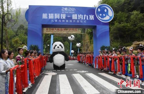 中國僑網(wǎng)九寨溝熊貓園開園儀式現(xiàn)場?!【耪瘻峡h委宣傳部提供