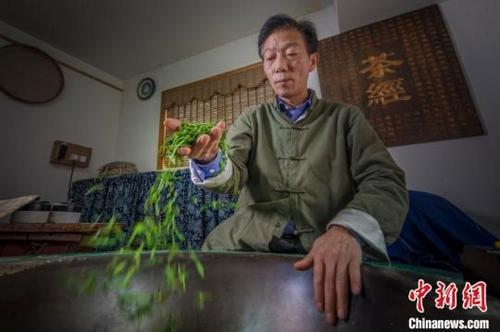 中國(guó)僑網(wǎng)圖為樊生華在炒茶,。賀勛毅攝