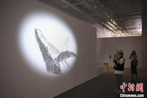 中國僑網(wǎng)觀眾拍攝法國藝術(shù)家德爾芬娜·吉古-馬丁作品《穿墻大逃亡》,。 楊華峰 攝