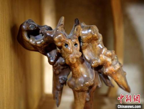 中國(guó)僑網(wǎng)蟲蝕藝術(shù)品“根眼三星”。 陳月振 攝